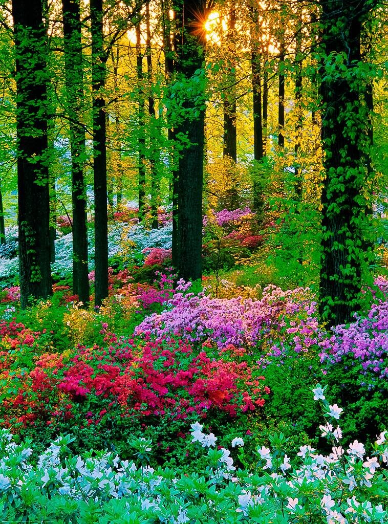 18738418_1535269199857109_3108141333438031050_o_proc