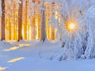 18950967_1545779252139437_2406074415974515218_n_proc