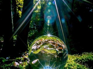 19260730_1484937404914468_7552332828312831397_n_proc