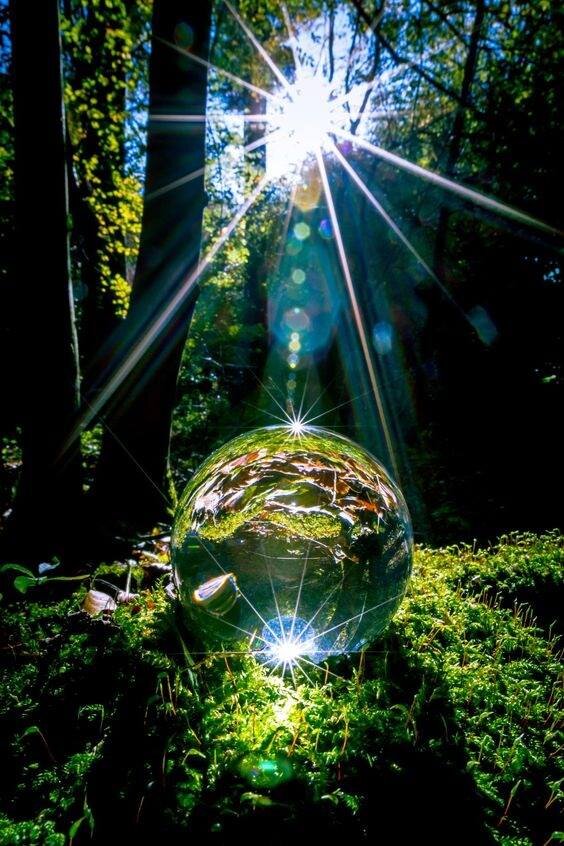 19260730_1484937404914468_7552332828312831397_n_proc