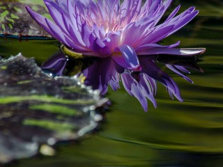 19787505_1513907358684139_6641877839716944756_o_proc