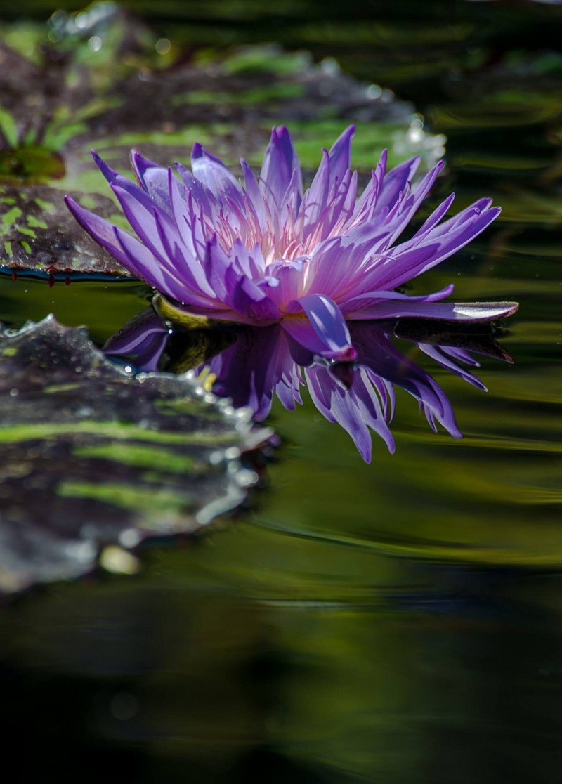 19787505_1513907358684139_6641877839716944756_o_proc