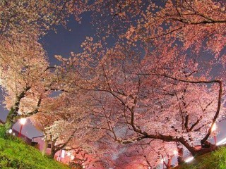 20108495_1598831026796842_2358183813013245204_n