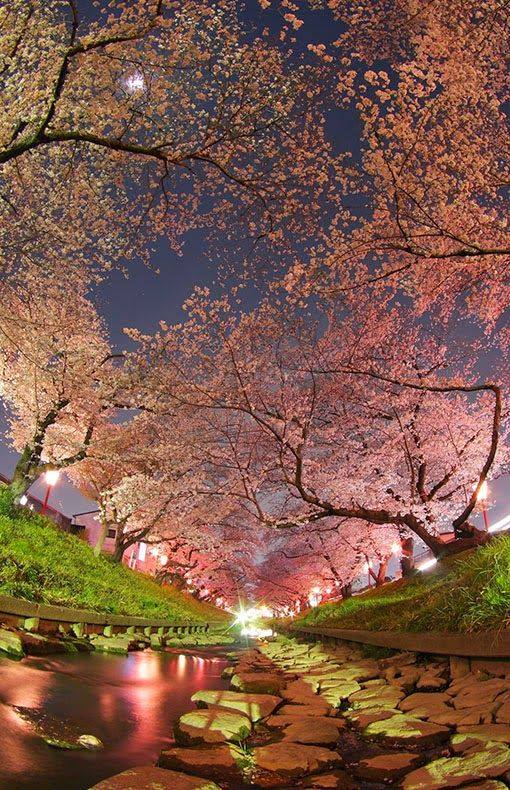 20108495_1598831026796842_2358183813013245204_n