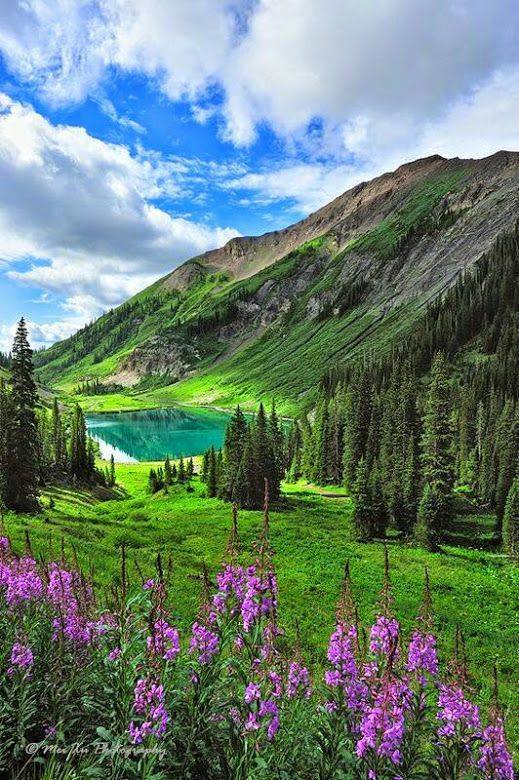 20155900_1600001616679783_8087866327147242866_n