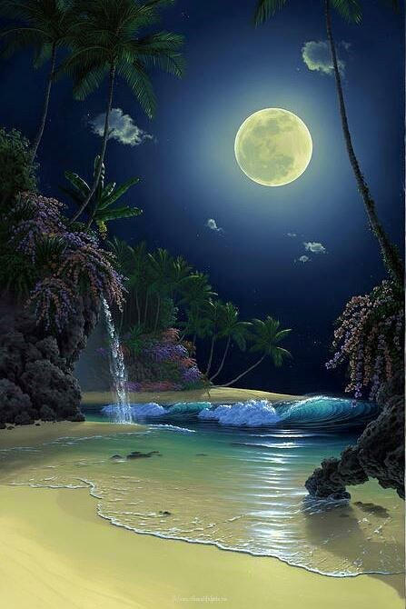 20229385_1441517782593907_9086640368135290526_n