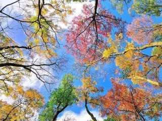 20245659_449070452159669_5702733555989383432_n