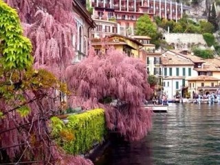 20258223_1606492866030658_1207912545074122423_n