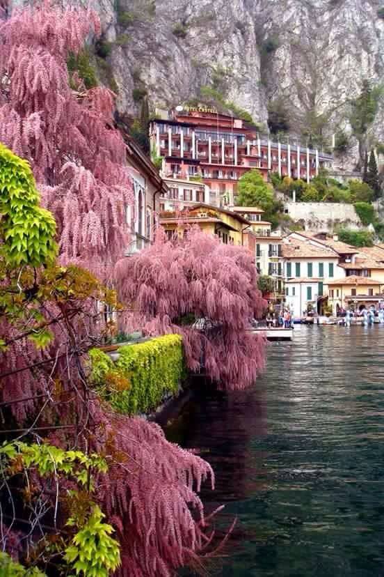 20258223_1606492866030658_1207912545074122423_n