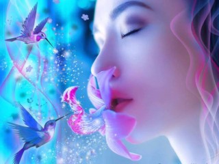 20294064_1505469352847728_7168248928962288307_n