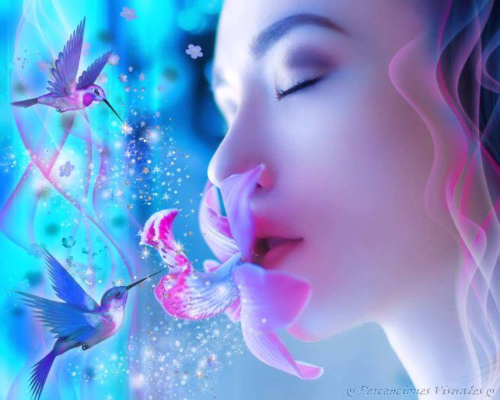 20294064_1505469352847728_7168248928962288307_n