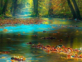 20597078_1620310847982193_1006160041995969274_n_proc