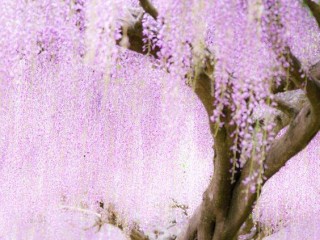 21077717_1637684499578161_5258359375675427292_n