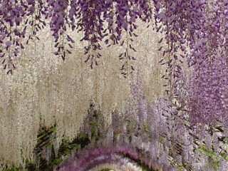 21150046_1643260102353934_7809813012767340583_n