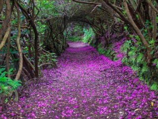 21192560_1643256442354300_1520811221480013407_n