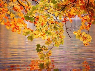 21192840_1646253962054548_8138606193507520458_n