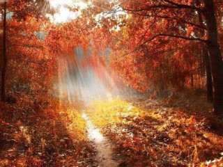 21743277_1658869307459680_3709437995927631513_n