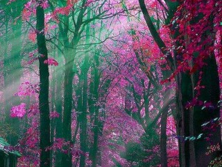 21752265_1666175403395737_4280336435568800607_n_proc