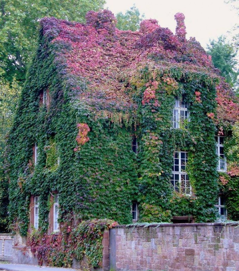 21761454_1662455647101046_6169543103849720396_n