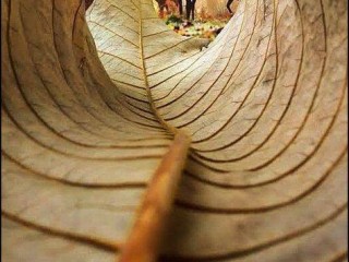 21768343_1669964026350208_4911207529286243870_n