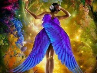 22195807_501858276837651_393005744603124448_n