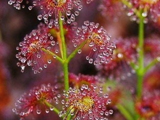 22406042_1686357378044206_8865175109943853806_n_proc