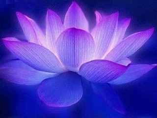 22490125_1518058131566904_6599557307119127176_n