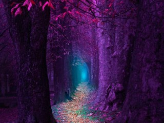 22528838_1683619598355401_6780560684528938264_o_proc