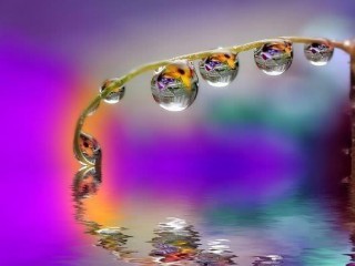 399502_390163391039134_1025235320_n