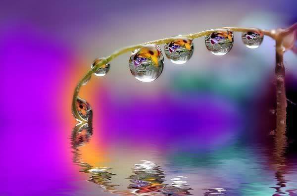 399502_390163391039134_1025235320_n