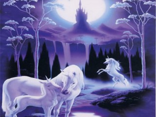 71634_478787638829306_46774968_n