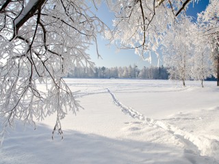 landscapes-snow-wallpaper-2