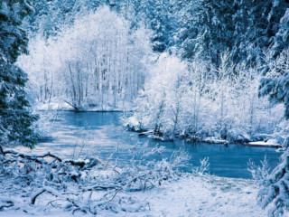 winter_river_snow_trees_landscape_45992_2560x1600