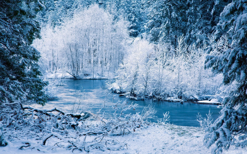 winter_river_snow_trees_landscape_45992_2560x1600