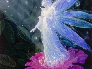 16387371_1237465579702554_40505741639238649_n