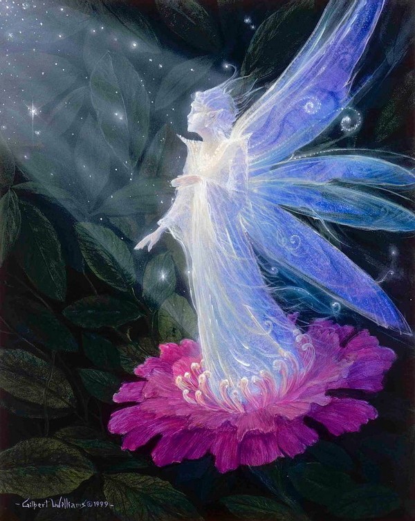 16387371_1237465579702554_40505741639238649_n