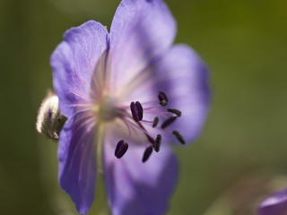 0_160ac_fa651540_orig - copia