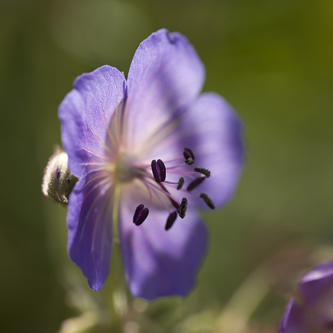 0_160ac_fa651540_orig-copia