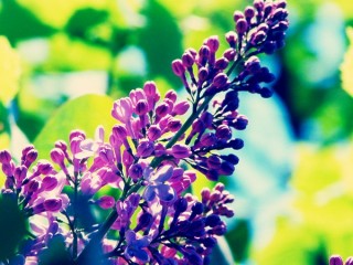 0_16838_d8b6ab95_XL - copia