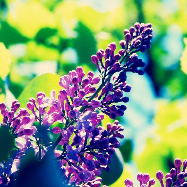 0_16838_d8b6ab95_xl-copia