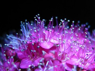 0_1683a_292e9e97_XL - copia