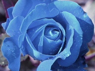 0_16841_e8144968_XL - copia