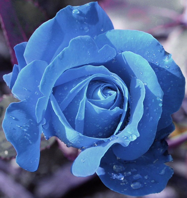 0_16841_e8144968_xl-copia