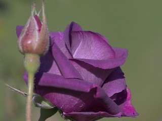 0_198fd_6a696110_orig - copia