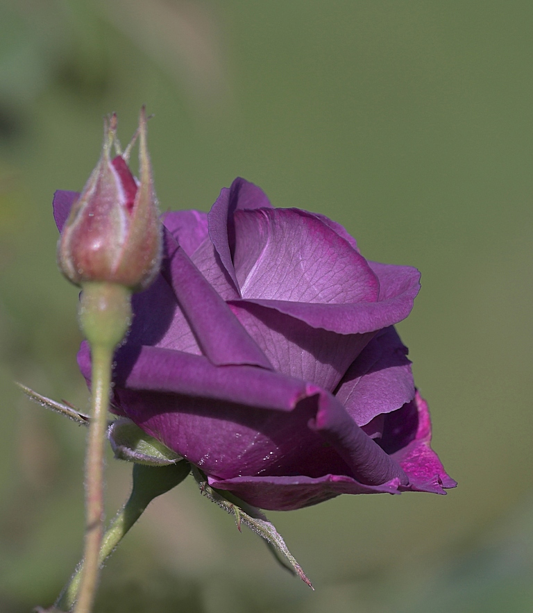 0_198fd_6a696110_orig-copia