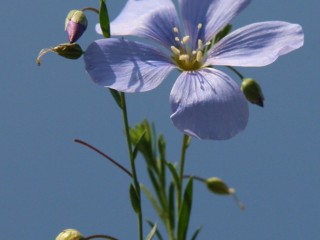 0_26335_5aa58d8f_orig - copia