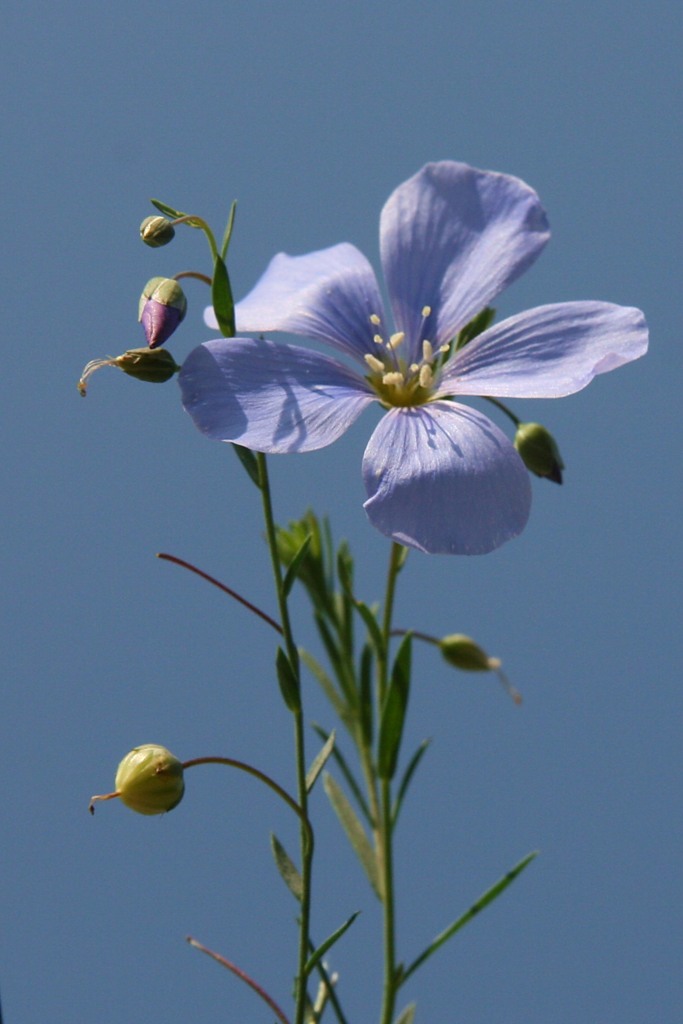 0_26335_5aa58d8f_orig-copia