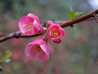 0_a7d7_1f7d4cba_XL - copia