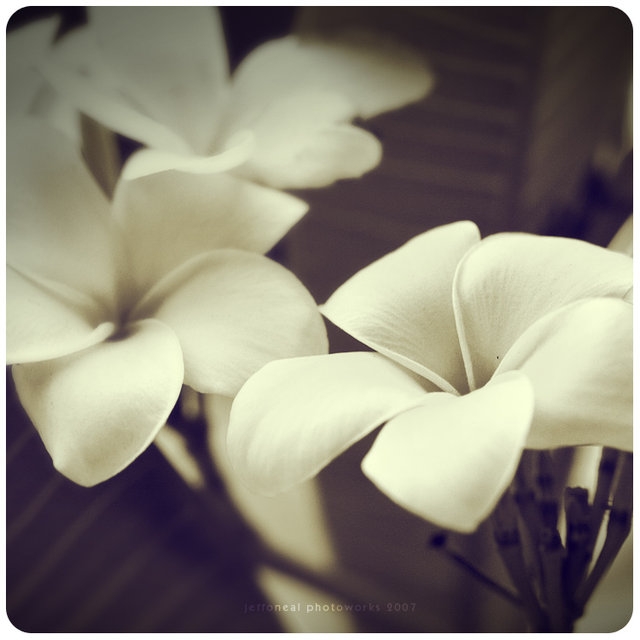 0_b7cd_d6fe7a0_xl-copia