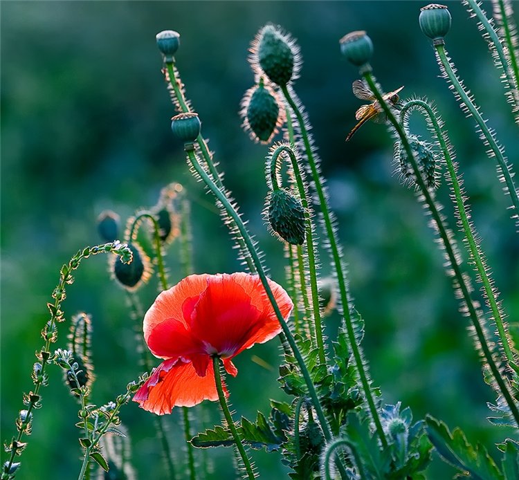 0_b7e3_25c4edec_xl-copia